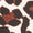 Leopard Floral Swatch
