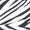 White Zebra Print Swatch