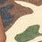 Camo Swatch