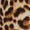 Leopard Swatch
