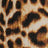 Leopard Swatch