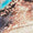 Coco Snake Swatch