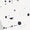 Paint Splatter White Swatch