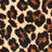 Leopard Swatch