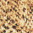Brown Snake Swatch