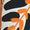 Rust Tropical Swatch