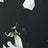 Black Swatch