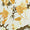 Mustard Swatch