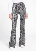 Grey Leopard