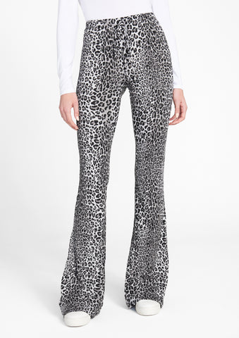 Grey Leopard