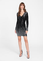 Black/Silver