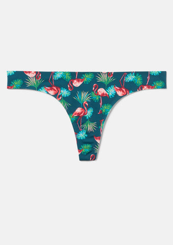 Flamingo Palm