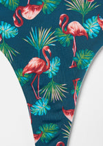 Flamingo Palm