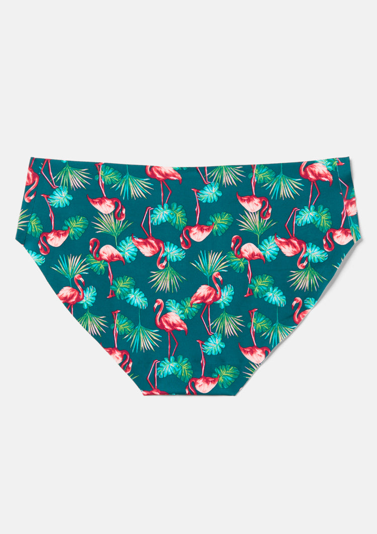 Flamingo Palm