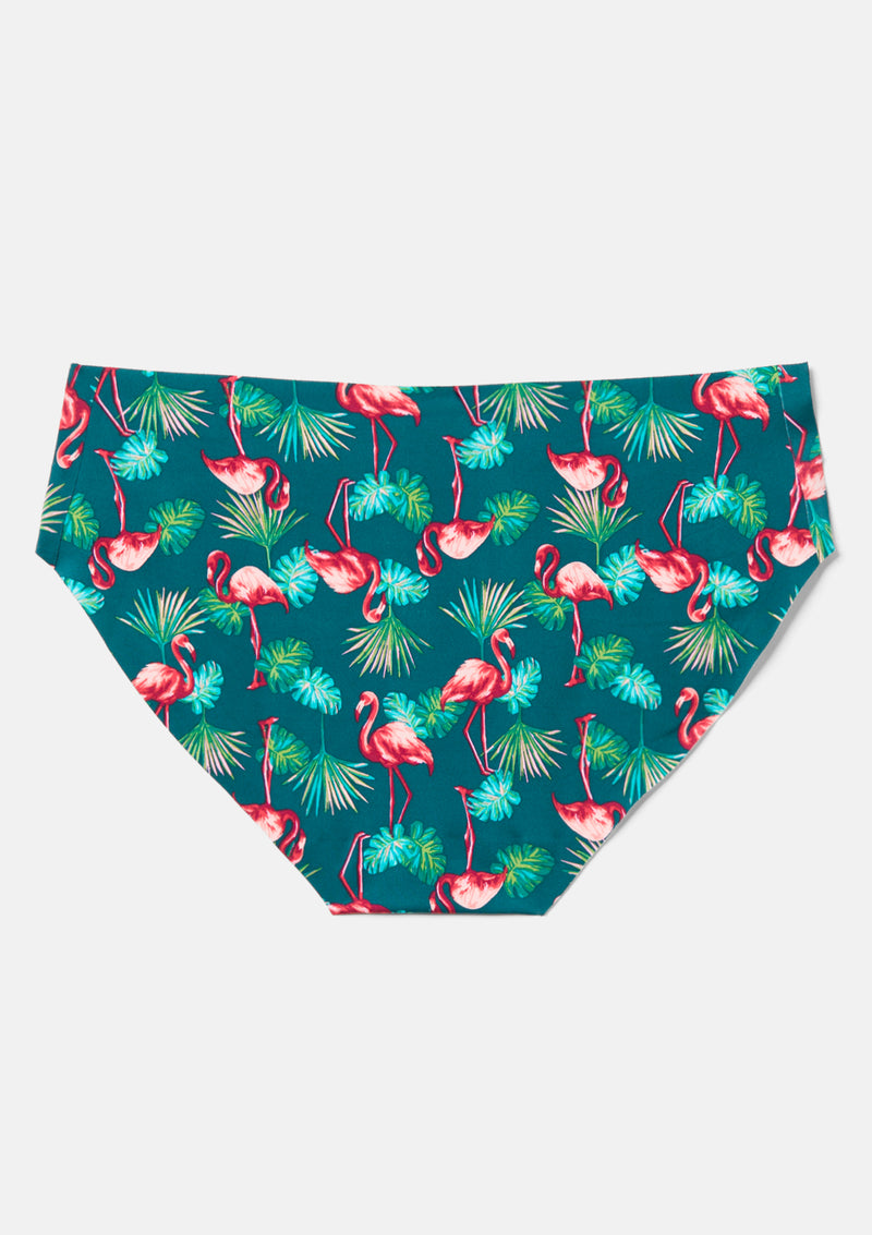 Flamingo Palm