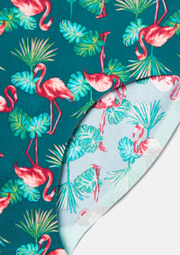 Flamingo Palm