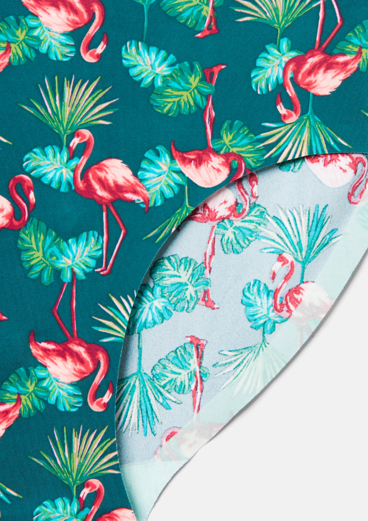 Flamingo Palm