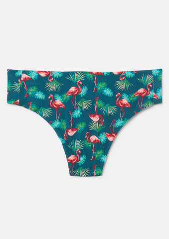 Flamingo Palm