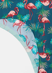 Flamingo Palm