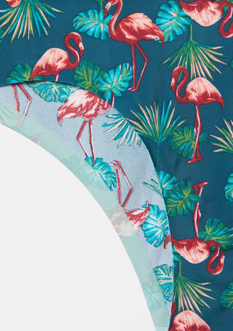 Flamingo Palm