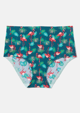 Flamingo Palm