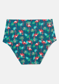 Flamingo Palm