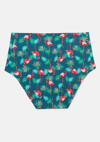 Flamingo Palm