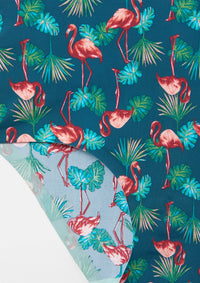 Flamingo Palm