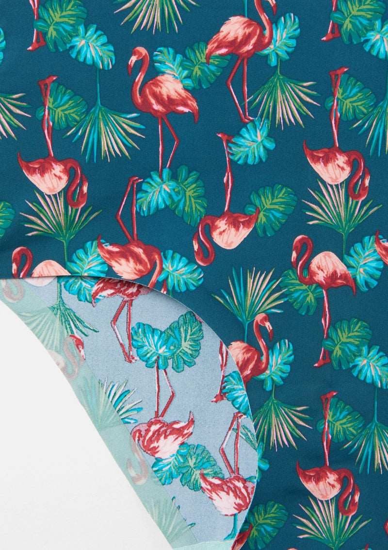Flamingo Palm