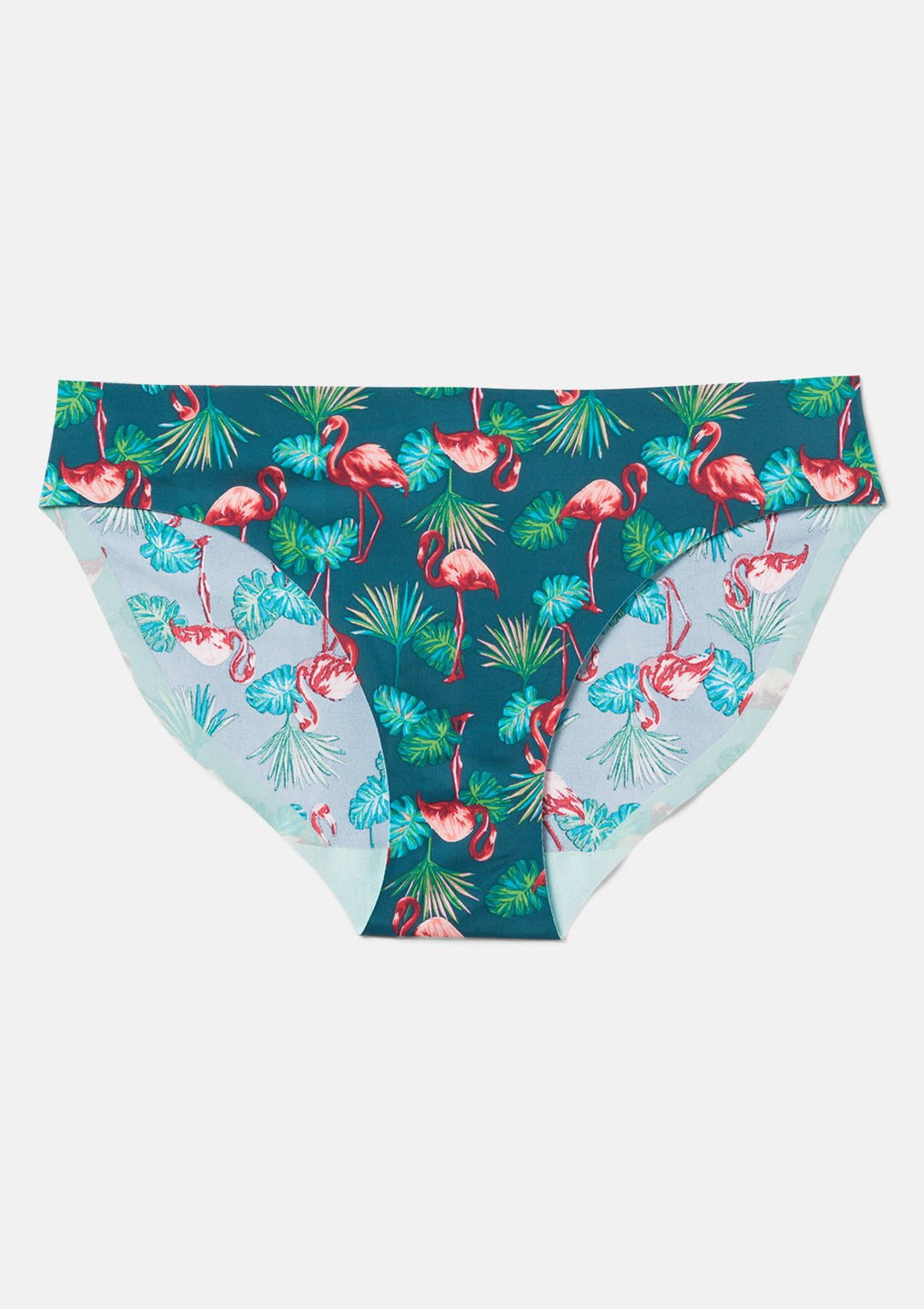 Flamingo Palm