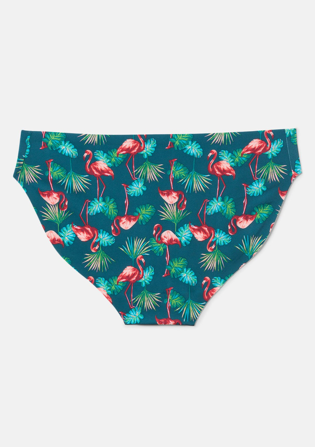Flamingo Palm