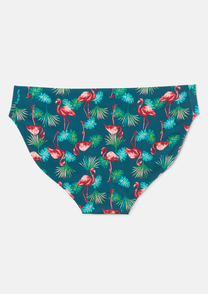 Flamingo Palm