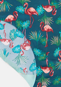 Flamingo Palm