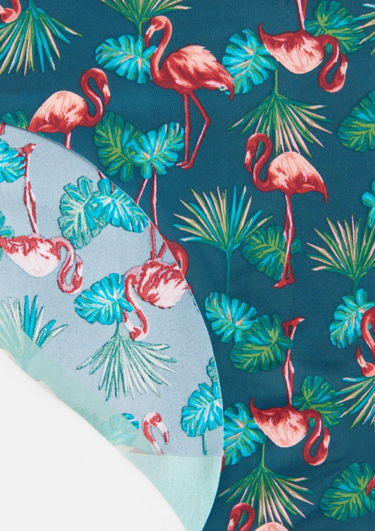 Flamingo Palm