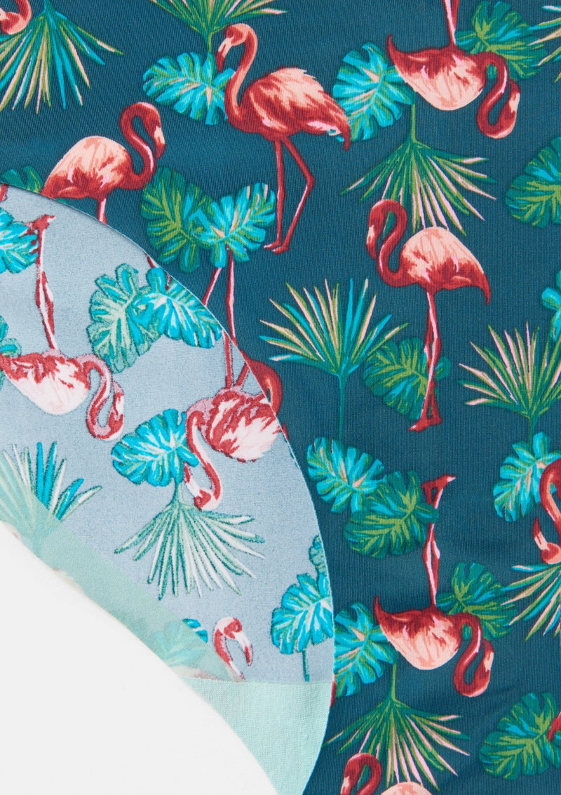 Flamingo Palm